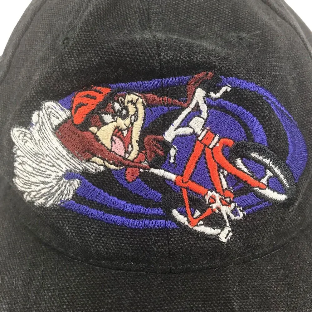 Vtg 1997 Looney Tunes Taz Tasmanian Devil Six Flags Hat Snapback Cap Gray Youth